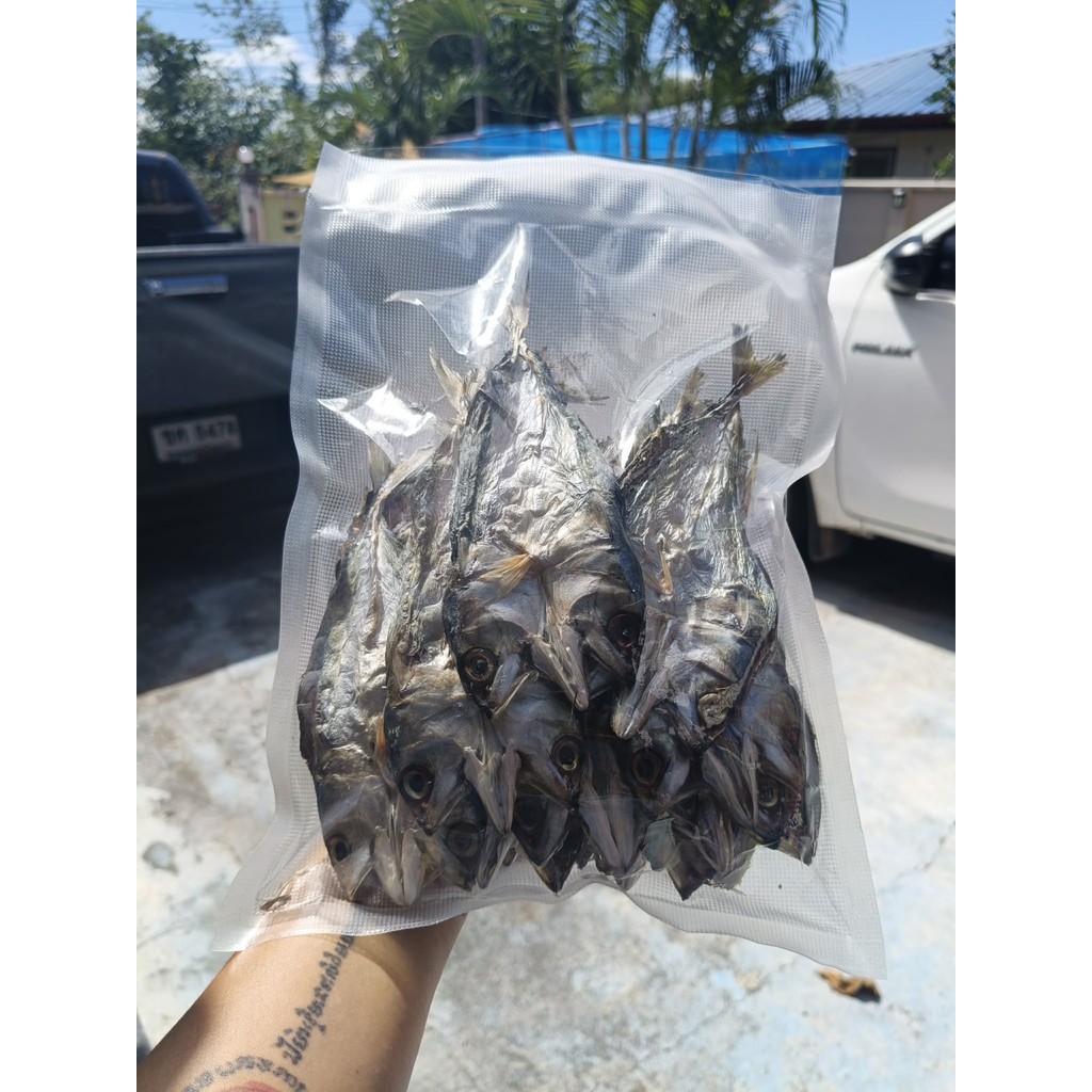 ปลาทูแห้งแดดเดียว 3-5 บาทต่อตัว รสเค็มหวานหอม