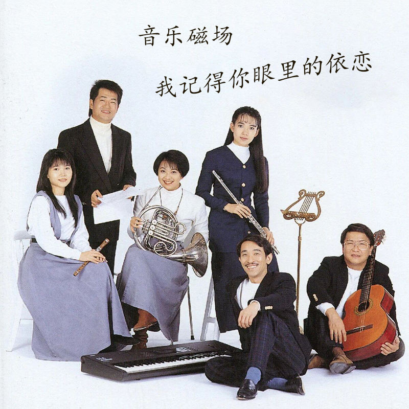 I จําสิ่งที่แนบมาในดวงตาของคุณเพลง Magnetic Field Car cd Disc รถ Lossless คุณภาพเสียง Platinum Disc 