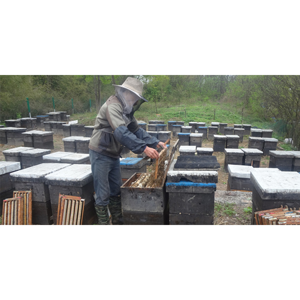 การประกันคุณภาพ 2023 ตรุษจีน Jelly Fidelity Royal Jelly Natural Pure Royal Jelly Wild Royal Jelly 50