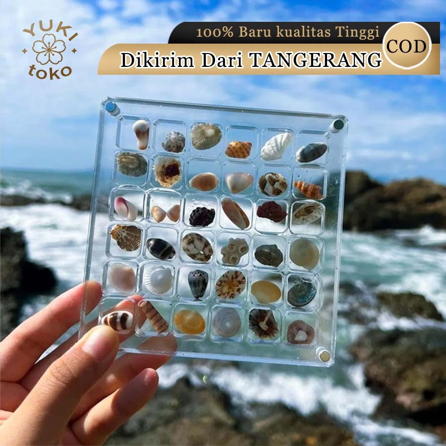 Magnetic Shell Display 36-grid Transparent Acrylic 12.5x12.5cm กล่องเก็บของริมทะเล