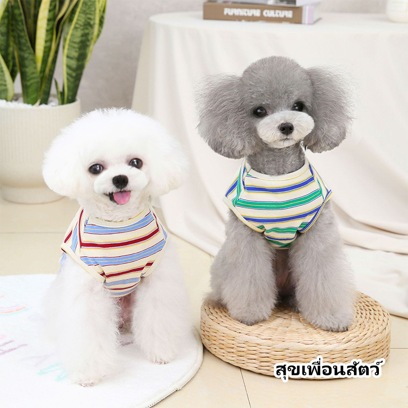 STOCK เสื้อกล้ามสุนัขและแมวฤดูร้อน ผ้าบาง ระบายอากาศ ลายทาง สำหรับบิชอง ฟริเซ่ และสุนัขพันธุ์เล็ก