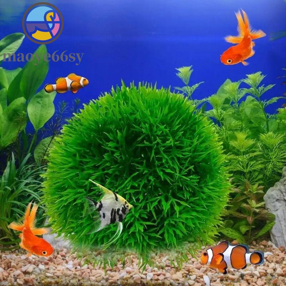 MAOYE66SY พืชน้ํา Ball, 9 ซม.จริงน้ําหญ้า Ball, Creative จําลองพลาสติกประดิษฐ์น้ําพืช Home
