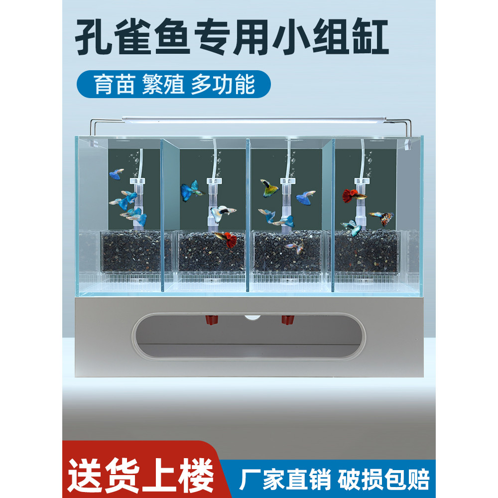 โปรโมชั่นใหญ่ Guppy Group Tank Guppy Dedicated Big Rock Sand Version Water Fairy System Filter Guppy