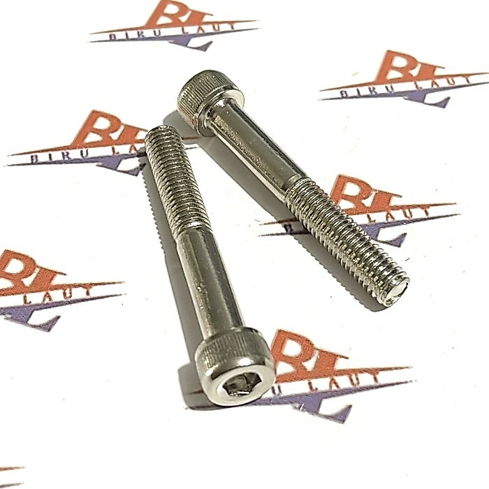 (แพ็ค 10 ชิ้น) 8x55 นิกเกิล L-bolts / M8 L-bolts ยาว 55 มม. Nekel