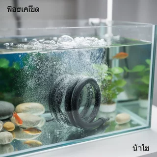 สายเติมอากาศ อ๊อกซิเจนบ่อปลา ท่อรูพรุน ฟองละเอียด อ๊อกบาร์ ตู้ปลา บ่อปลา สายอ๊อกซิเจน