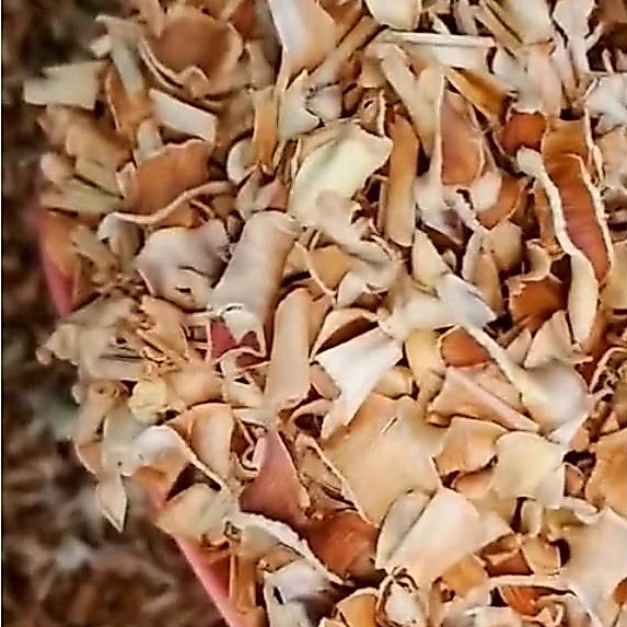 ตะไคร้ ตะไคร้อบแห้ง  ตะไคร้แห้ง Lemon grass  คัด ร่อน สะอาด ขนาด 300 กรัม