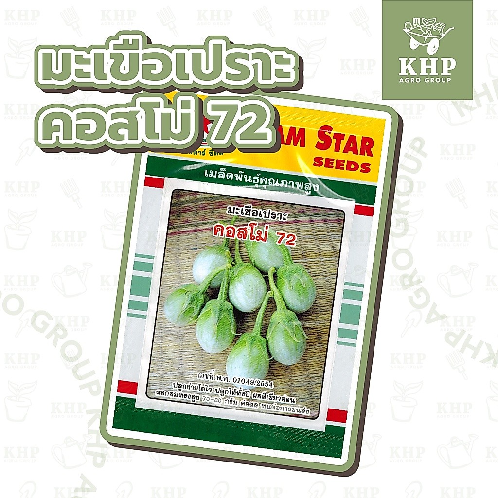 เมล็ดพันธุ์ มะเขือเปราะ คัดพิเศษ พันธุ์ คอสโม่ 72 ซองใหญ่ 1 กรัม 👍 ดก กรอบ หวาน ทรงสวย ลูกใหญ่ 👍