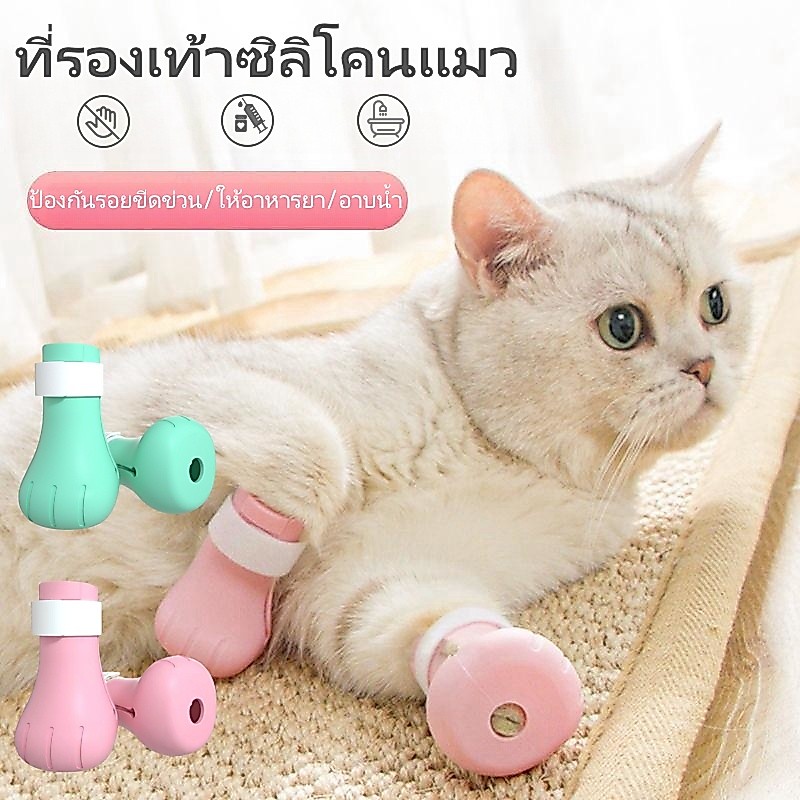 ✅ พร้อมส่ง ✅ ซิลิโคนหุ้มเท้าอาบน้ำแมว รองเท้าแมว ปลอกเท้าป้องกันแมวข่วน ถุงเท้าแมว ของใช้แมว อุปกรณ์อาบน้ำแมว