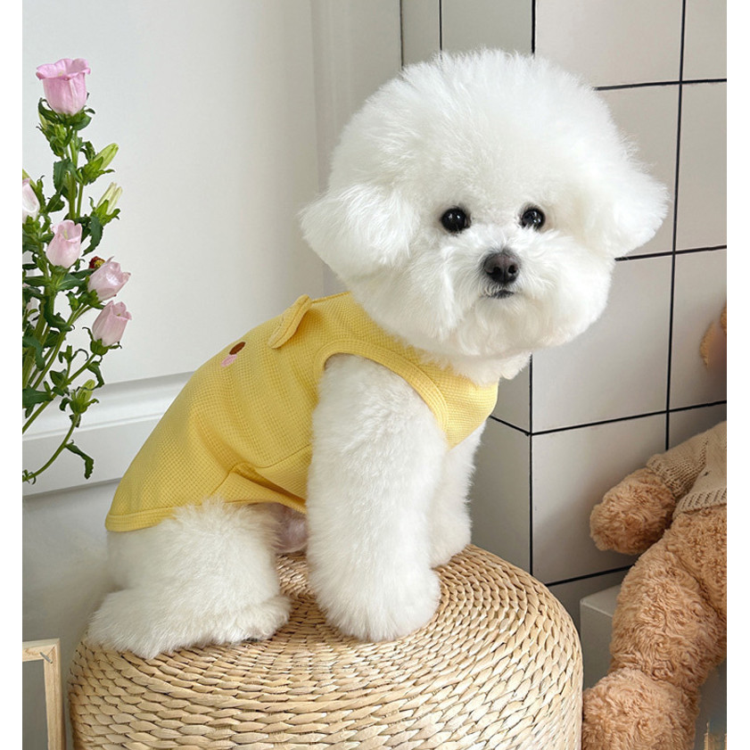 รูปภาพ 7