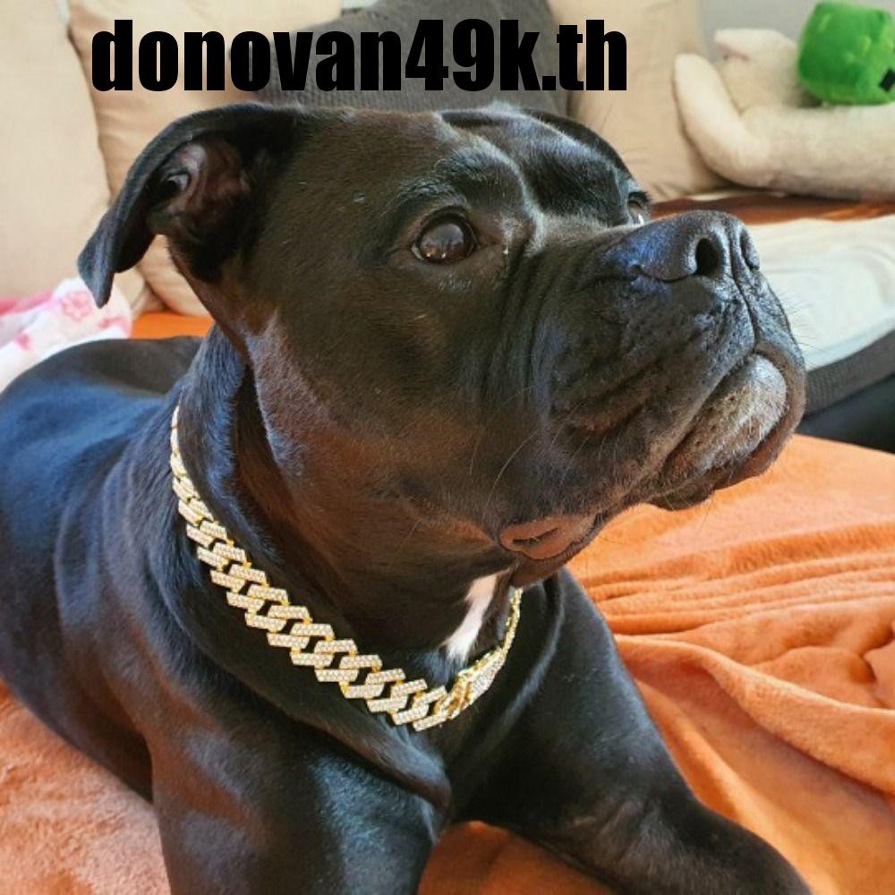 DODONVAN49K ปลอกคอแมวพร้อมเพชร ไม่เป็นสนิม 2 มม. สร้อยคอสุนัขโลหะผสมสร้างสรรค์