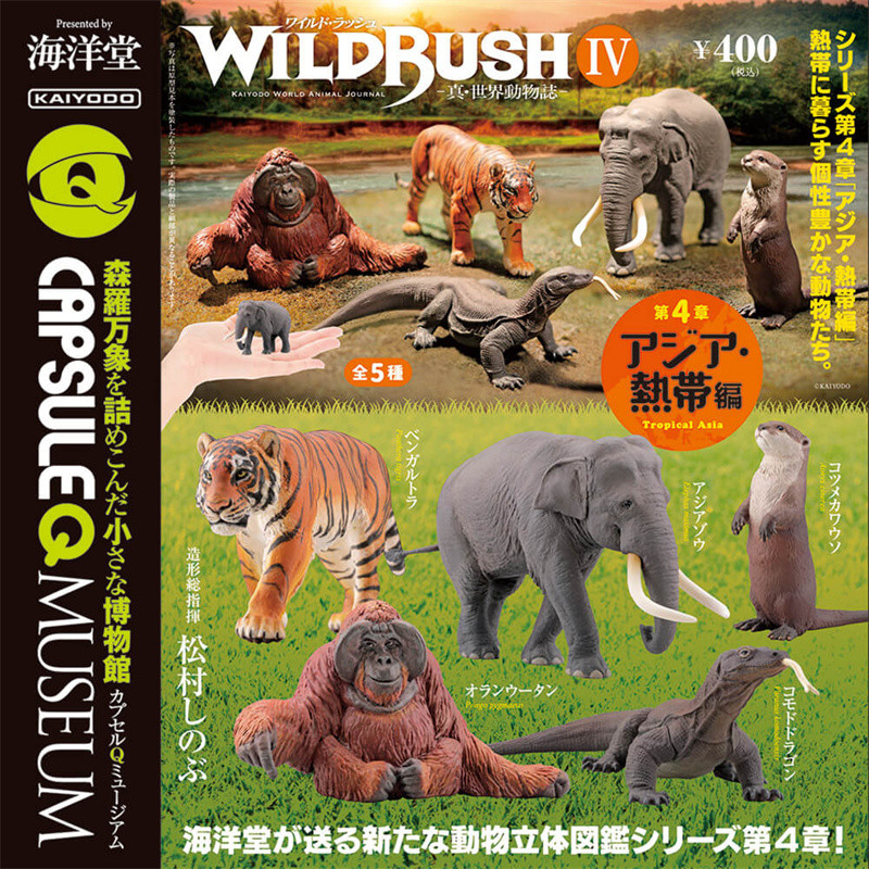 [Kacha] สินค้าจํานวนมาก Ocean Hall Capsule Toy miniQ Real World Animal Book 04 Asian Tropical Chapte