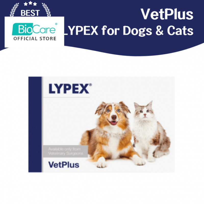 Vetplus LYPEX สําหรับสุนัขและแมว (60 แคปซูล) - แคปซูลเอนไซม์แพนเครทติก - อาหารเสริมแพนเครทที่มีประสิ