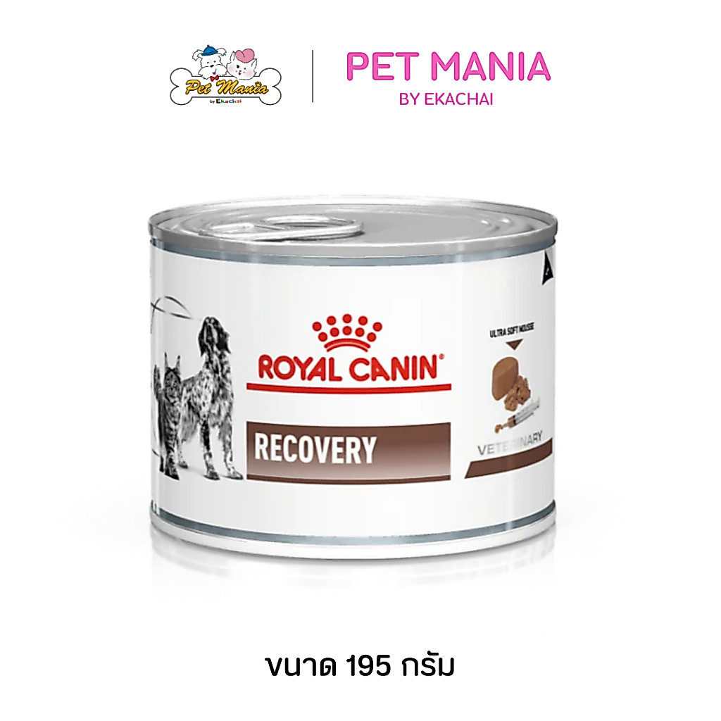Royal Canin Recovery CAN สำหรับสุนัขและแมว ระยะพักฟื้น หลังผ่าตัด 195g