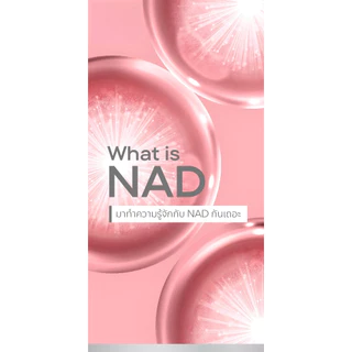 Well U NAD เวลยู แนด ( 1 ขวด 30 เม็ด ) (EXP :16/01/2027) นิโคทินาไมด์ แอนด์ ดี-ไรโบส 1 ขวด 30เม็ด