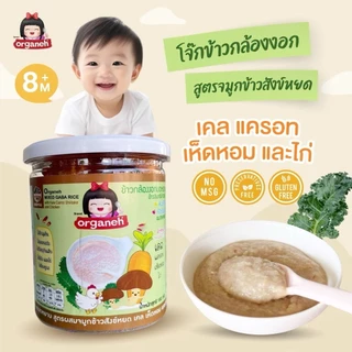 Organeh ออร์กาเนะ โจ๊กข้าวกล้องงอกบดหยาบ สูตรจมูกข้าวสังข์หยด อาหารเด็ก 8 เดือนขึ้นไป มีฮาลาล