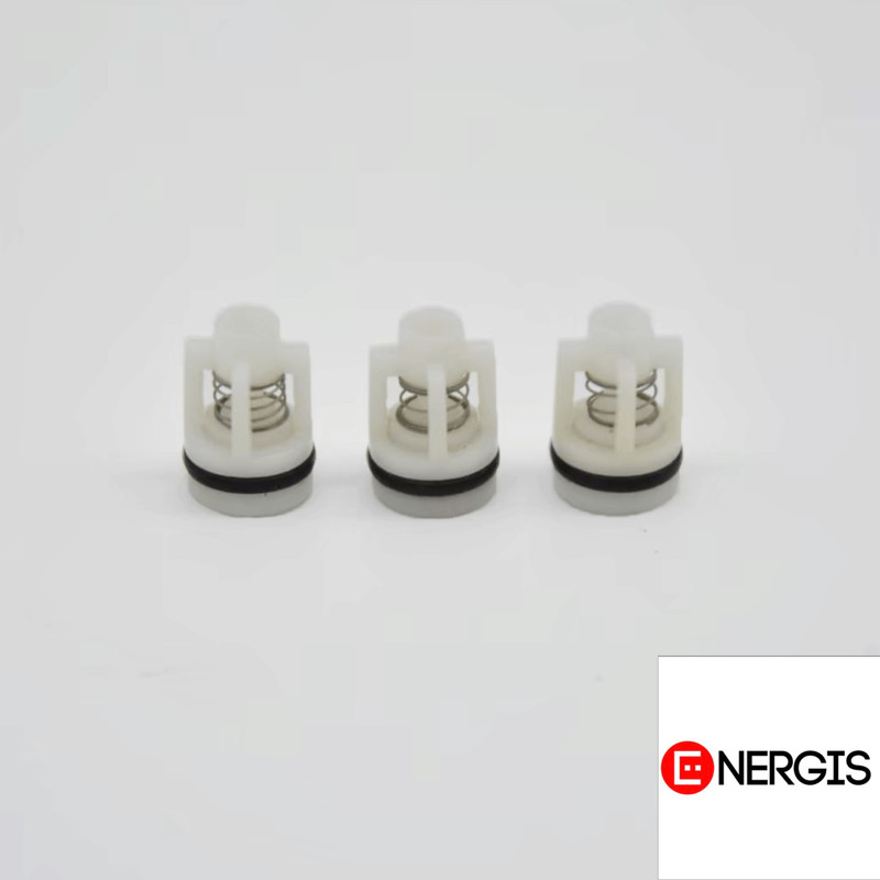 Flow Energy - NEW026169 อะไหล่หัวปั๊มใหม่ ชุด Inlet&Outlet valve Set Small M6 / M9