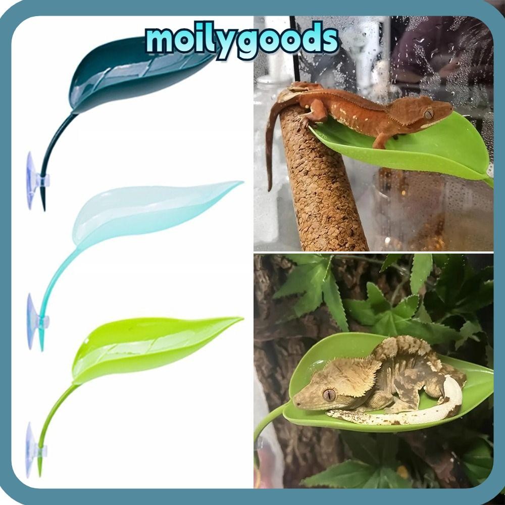 MOILYHD สัตว์เลื้อยคลาน Basking Area, ใบจําลองถ้วยดูดกบ Geckos Habitat, Stable พลาสติก Aquarium ภูมิทัศน์ตกแต่งกบ