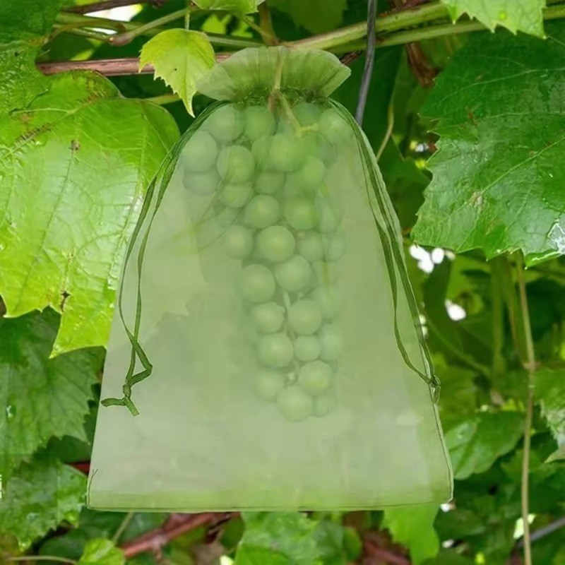 50/100 ชิ้นแมลงตาข่ายผลไม้กระเป๋าป้องกัน / ผลไม้ปลูกถุงตาข่ายพร้อมเชือกรูด - รูปที่ 2