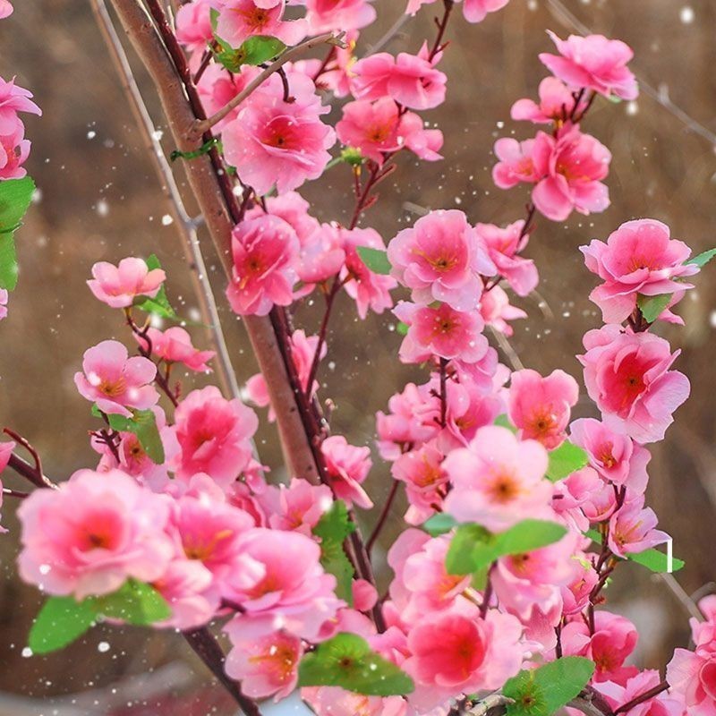 YTL 🌸พร้อมส่งจากไทย🌸ดอกซากุระปลอมประดิษฐ์ ดอกพีช ตกแต่งบ้าน ตกแต่งร้าน ตกแต่งสวน - รูปที่ 2