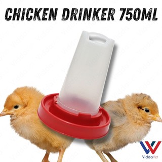 Chicken Drinker 750ml Water Feeder for Chickens & Chicks