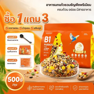 🦜อาหารนกแก้ว 500g อาหารนกแก้วฟอพั อาหารนกฟอพัสส อาหารนกเฉพาะ ซื้อหนึ่งแถมสาม