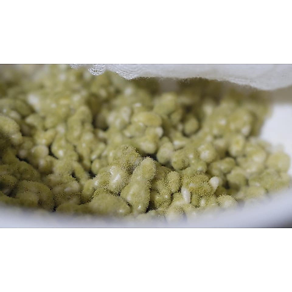 หัวเชื้อโคจิ (Koji kin)
