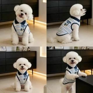 เสื้อกั๊กคอปกสัตว์เลี้ยง ผ้าบางฤดูร้อน สำหรับสุนัขแมวพันธุ์เล็ก มอลทีส ยอร์กเชียร์ ระบายอากาศสบายตัว