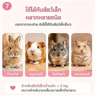 กรรไกรตัดเล็บสัตว์เลี้ยง สำหรับกระต่าย หนูตะเภา แฮมสเตอร์ ใบมีดสแตนเลส ด้ามกันลื่น ตัดปลอดภัย