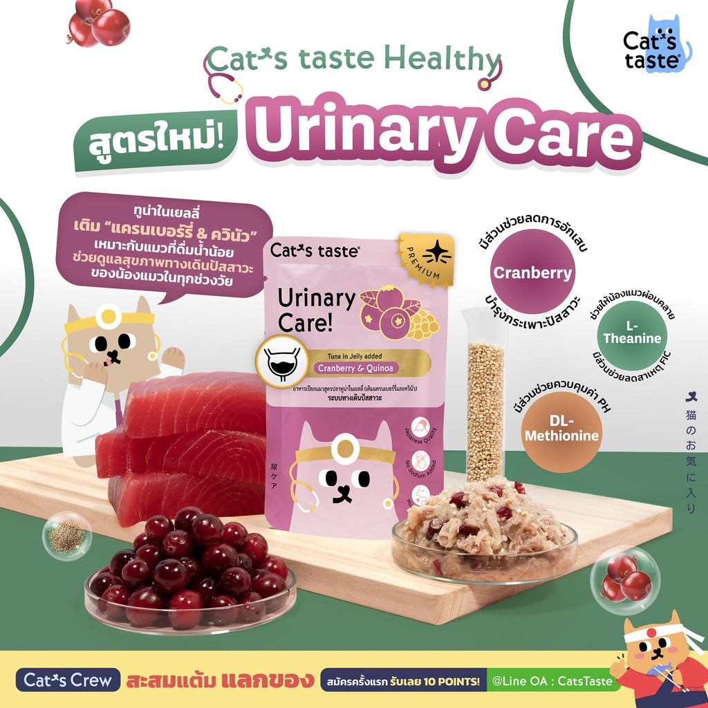Cat's Taste Healthy [ยกโหล 12 ซอง] อาหารเปียกแมว แคทเทสต์ ไม่เติมเกลือ ขนาด 70 กรัม รูปที่ 5