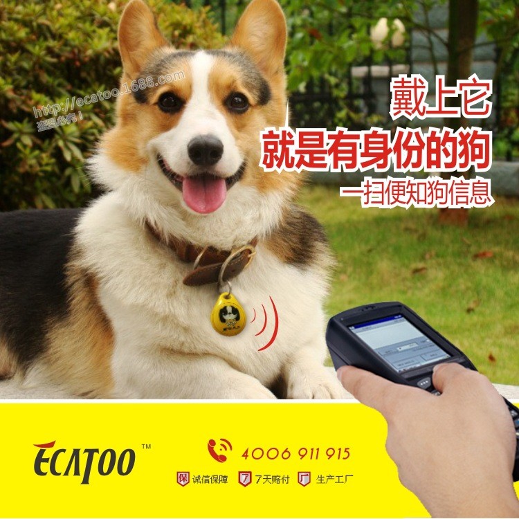 รหัส QD Double-Sided Epoxy Smart rfid Dog Tag Round Pet Tag Dog Identity Tag Listing Production