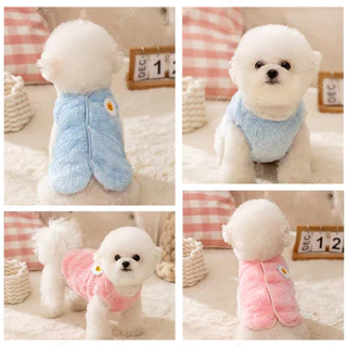 🇹🇭พร้อมส่ง🇹🇭🔵🎀✴️ เสื้อแขนปุยนิ่ม ติดลายไข่ดาว🍳น่ารัก งานป้ายแบรนด์ FOR PET เสื้อสุนัข หมา แมว