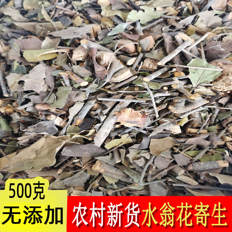 ต้นไทรป่าในชนบท Parasite Byon Tree Parasite Bayon ดอกไม้ Parasite Baywood Bayonet Bayflower Parasite