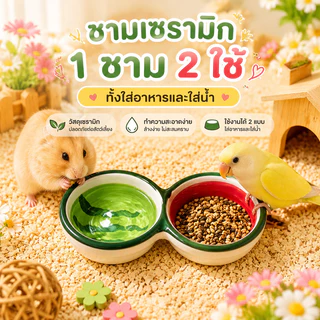 ถ้วยอาหารแฮมเตอร์ ชามแฮมสเตอร์เซรามิก 2 ช่อง ลายผลไม้น่ารัก ใช้ใส่อาหารและน้ำได้ ป้องกันการพลิคว่ำ
