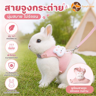 สายจูงกระต่าย ของใช้กระต่าย เชือกลากกระต่าย สะดวกสบาย ระบายอากาศ มีฤดูกาลทั้งสี่