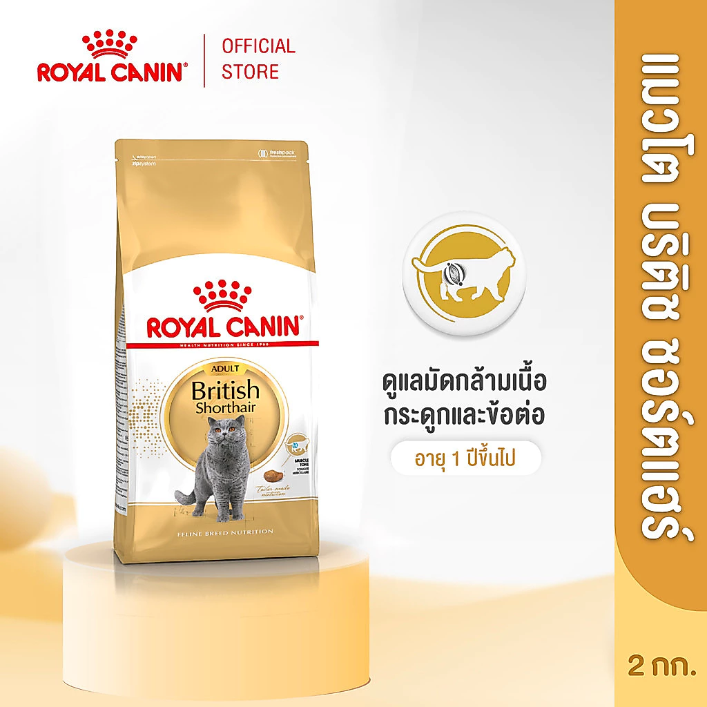 Royal Canin British Shorthair Adult2kg อาหารเม็ดแมวโตพันธุ์บริติช ชอร์ทแฮร์ อายุ12เดือนขึ้นไป(Dry Cat Food, โรยัล คานิน)