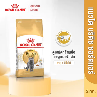 Royal Canin British Shorthair Adult2kg อาหารเม็ดแมวโตพันธุ์บริติช ชอร์ทแฮร์ อายุ12เดือนขึ้นไป(Dry Cat Food, โรยัล คานิน)