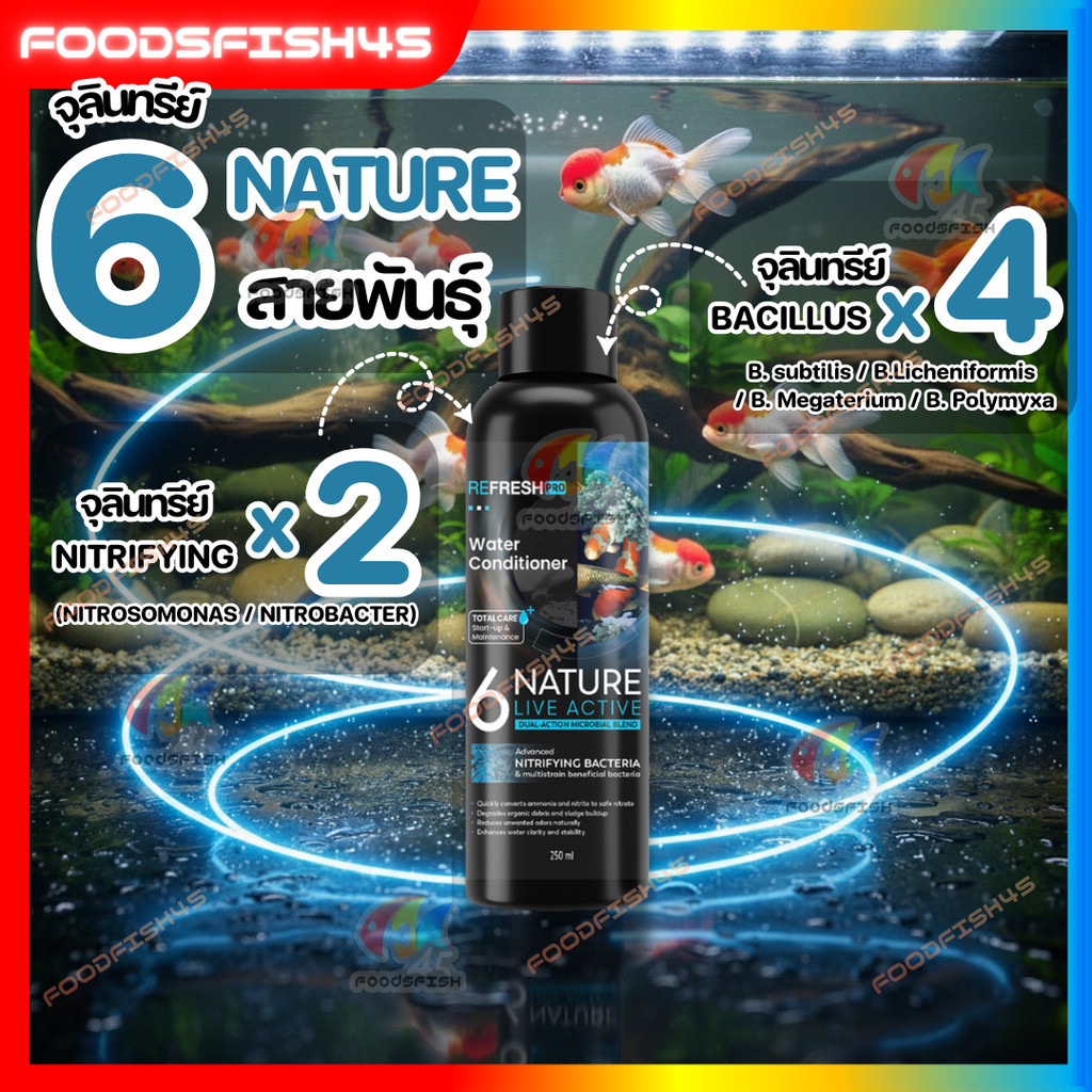 🆕6NATURE🆕จุลินทรีย์ตู้ปลา Nitrifying + Bacillus รวม 6 สายพันธุ์ น้ำใส ลดกลิ่น ตั้งตู้/บ่อปลา ไม้น้า