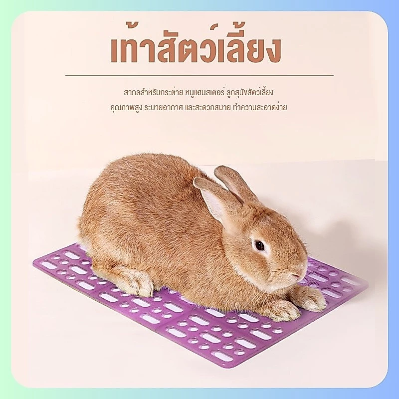 ✈️สินค้าอยู่ในไทย พร้อมส่ง✈️แผ่นปูกรง แผ่นรองกรง แบบใส ปูพื้นกรง พื้นห้อง กันลื่น รองพื้นกรง แผ่นสแลค