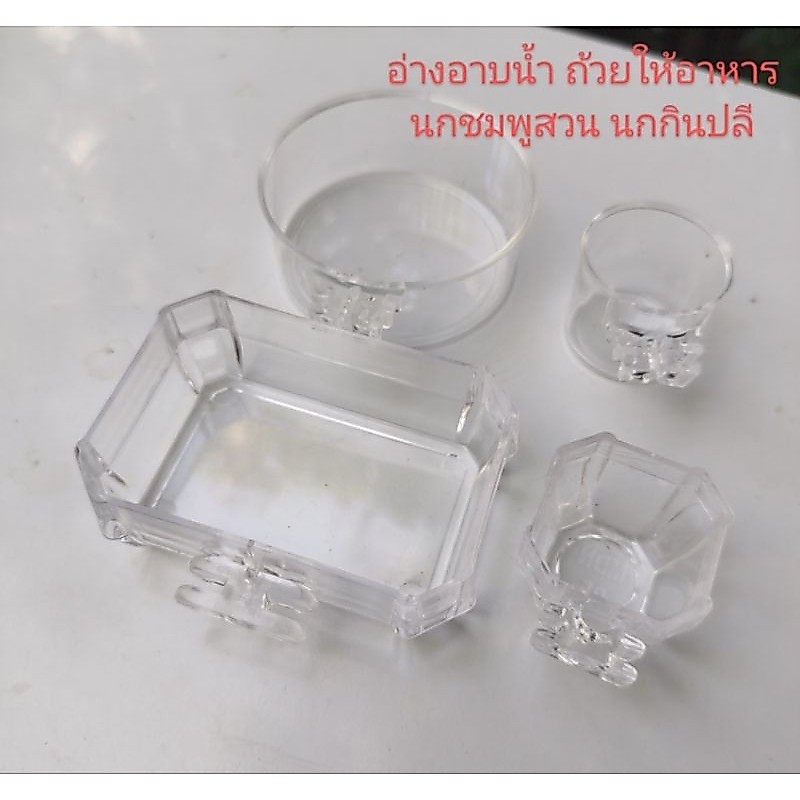 อ่างอาบน้ำและถ้วยใส่อาหาร นกชมพู่สวน นกกินปลี