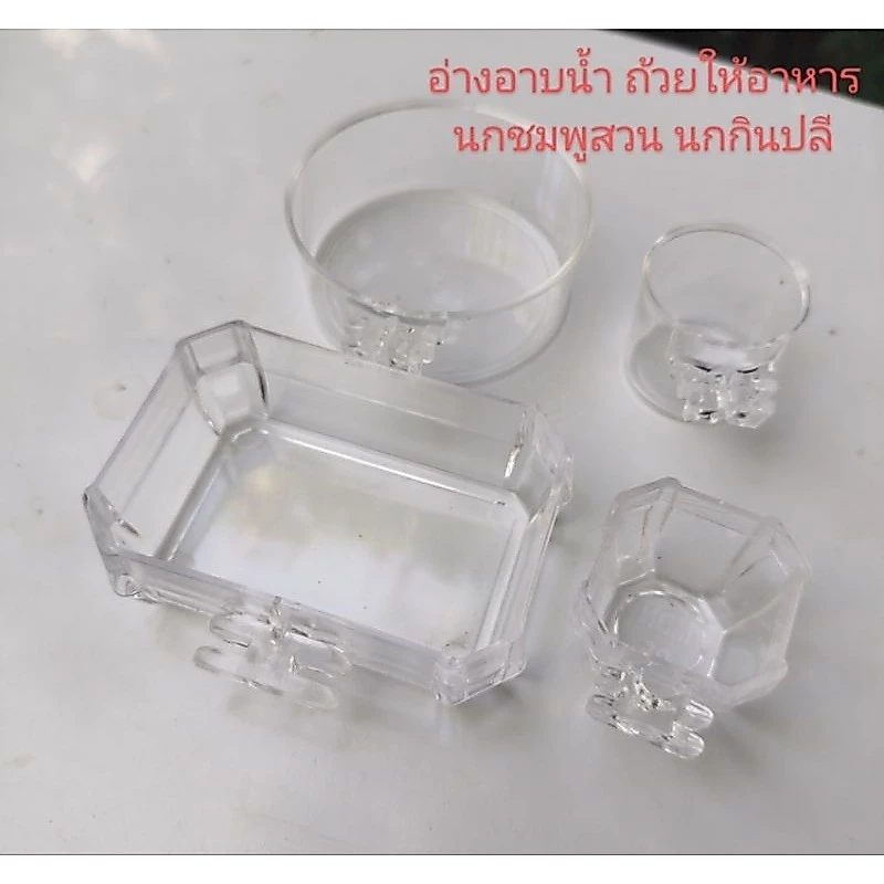 อ่างอาบน้ำและถ้วยใส่อาหาร นกชมพู่สวน นกกินปลี