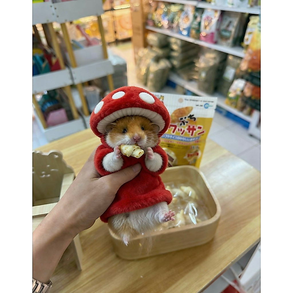 [khunnoohamster] ขนมแฮมสเตอร์แบ่ง