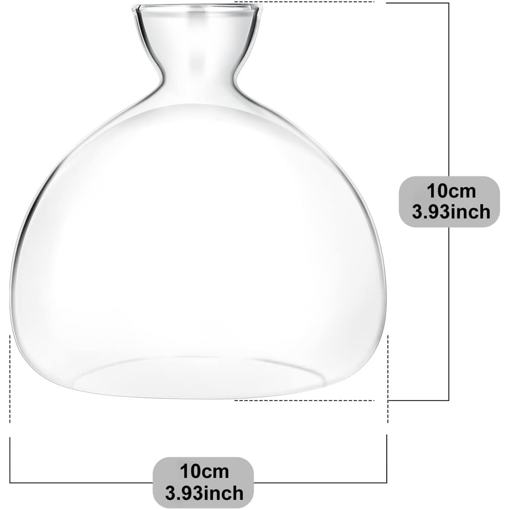 Acorn Sprouting Seed Starter Planter แจกัน Terrariums หม้อ Acorn Tree Growing Kit Deco แก้วหลอดไฟ Pr