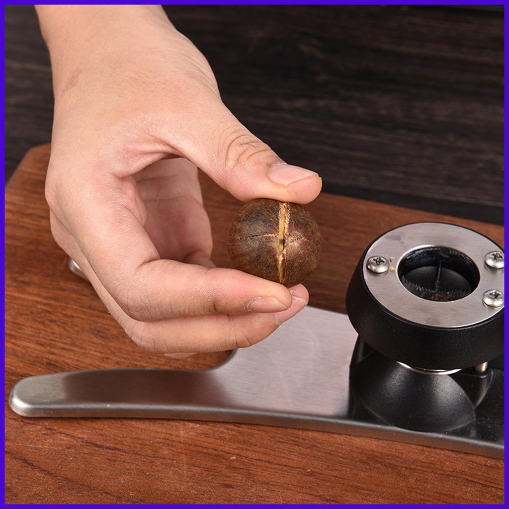 Nut Cracker เครื่องมือสแตนเลสสตีล Nut Cracker สําหรับวอลนัทคีมวอลนัทพร้อมที่จับกันลื่น Pecan Cracker
