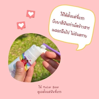 Mall Molar Bear ยาสีฟันเด็ก ครบทุกรุ่น ยาสีฟันเด็กกลืนได้ โมล่าร์แบร์ ใช้ได้ตั้งแต่ฟันซี่แรก