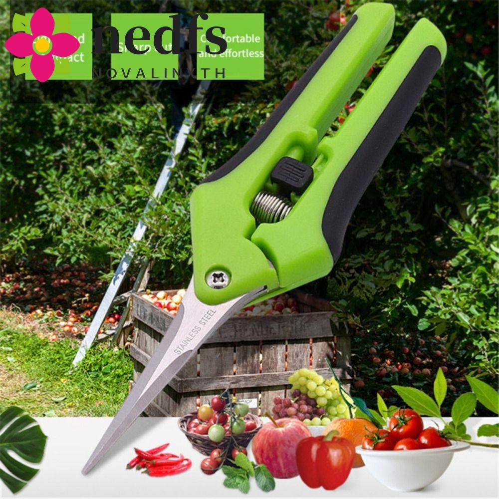 NEDFS กรรไกรตัดแต่งกิ่งสวน Pruners 8 นิ้วสําหรับบอนไซผลไม้ต้นไม้เครื่องตัดมือสําหรับดอกไม้สาขาเครื่อ