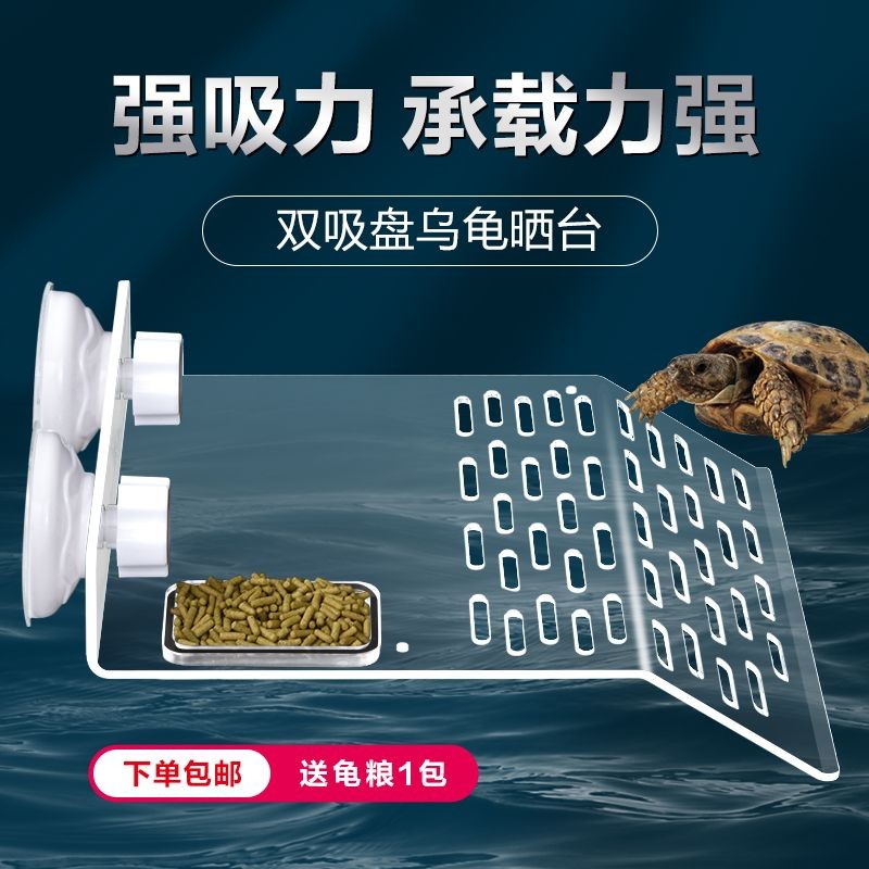 Turtle Sunning Platform Climbing Platform Sunning Turtle Platform Turtle Sunning Platform Floating I