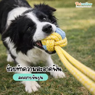 เชือกกัดสุนัข ของเล่นเชือกถักหมา–แมว ทนทาน ขัดฟันได้ ของเล่นหมาไหมถัก ฟันสะอาด เชือกกัดฟันสุนัข แบบปมคู่ ทนแรงดึง