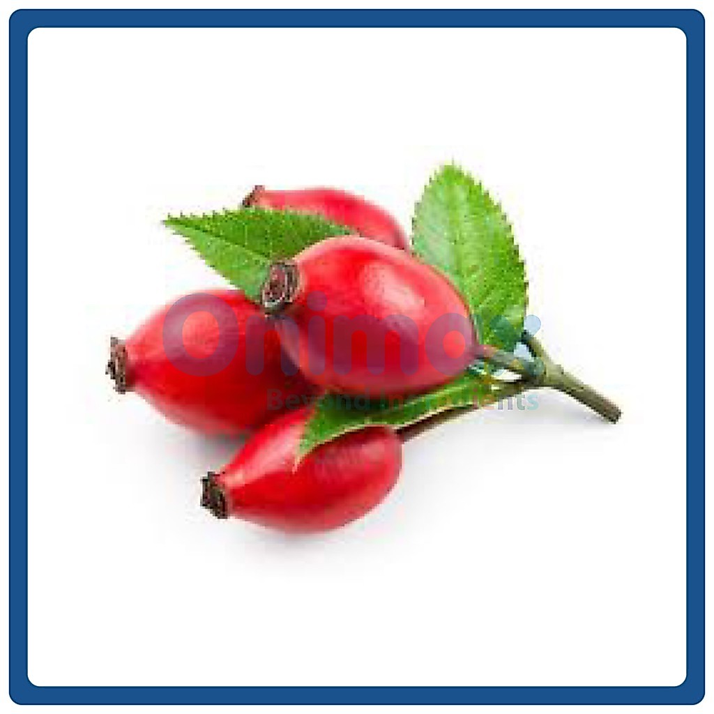 น้ำมันโรสฮิปบำรุงผิว (Rosehip oil) 10 หรือ 20ml.
