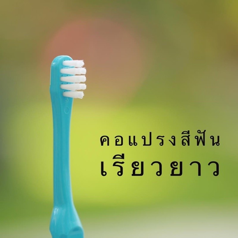 Mall Molar bear แปรงสีฟันเด็ก ชุดจัดเซต ฟันซี่แรกใช้ โมล่าร์แบร์ - รูปที่ 4