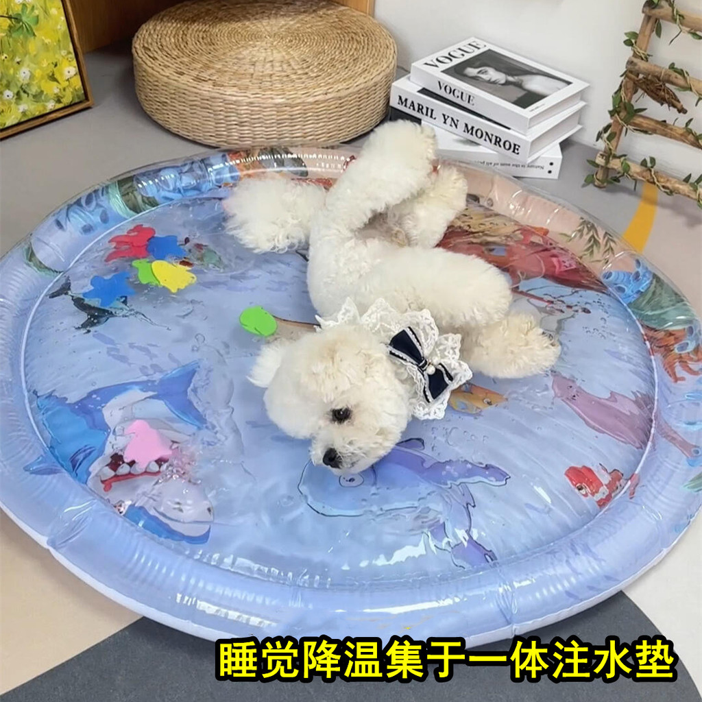 ที่นอนน้ําแผ่นน้ําแข็ง Pat Pat Pat Inflatable Water Injection Pad Pad Sleeping Nest ของเล่นฤดูร้อน S